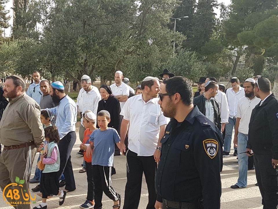 aqsa iqte7am (1).jpg